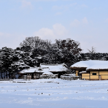 雪