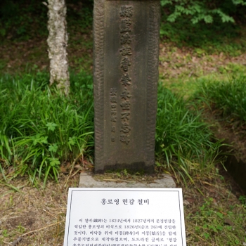 풍산홍씨선조님선정비(철비)